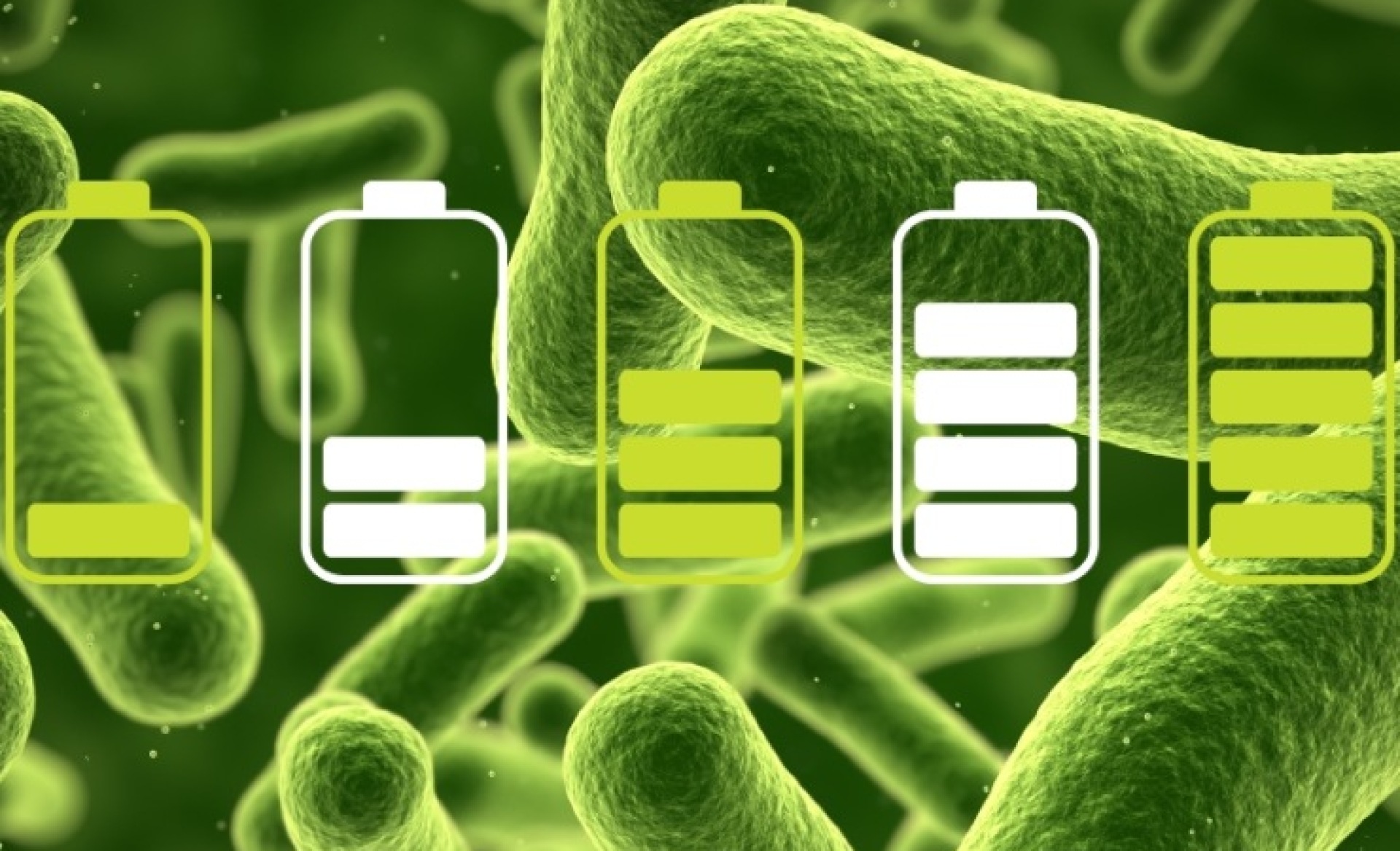 Using Bacteria to Recycle Portable Battery Packs