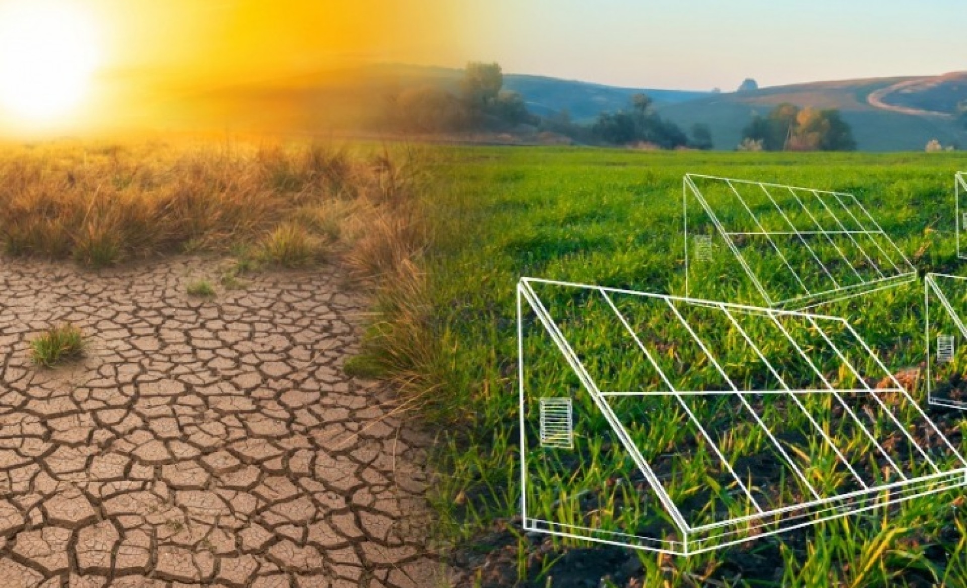 Think Hire Hybrid Solar Powered Generators Lead The Way