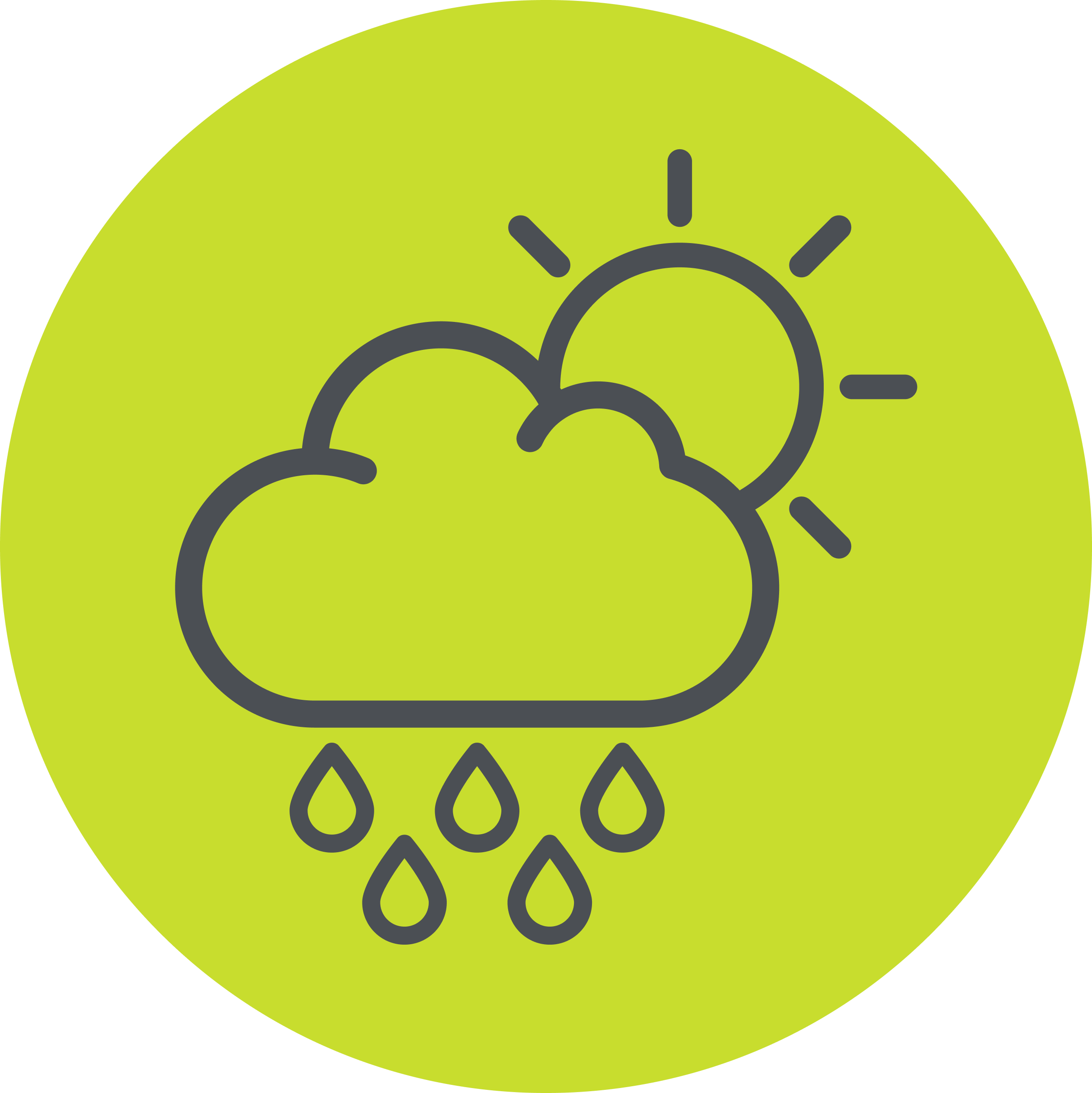 Nature Icon